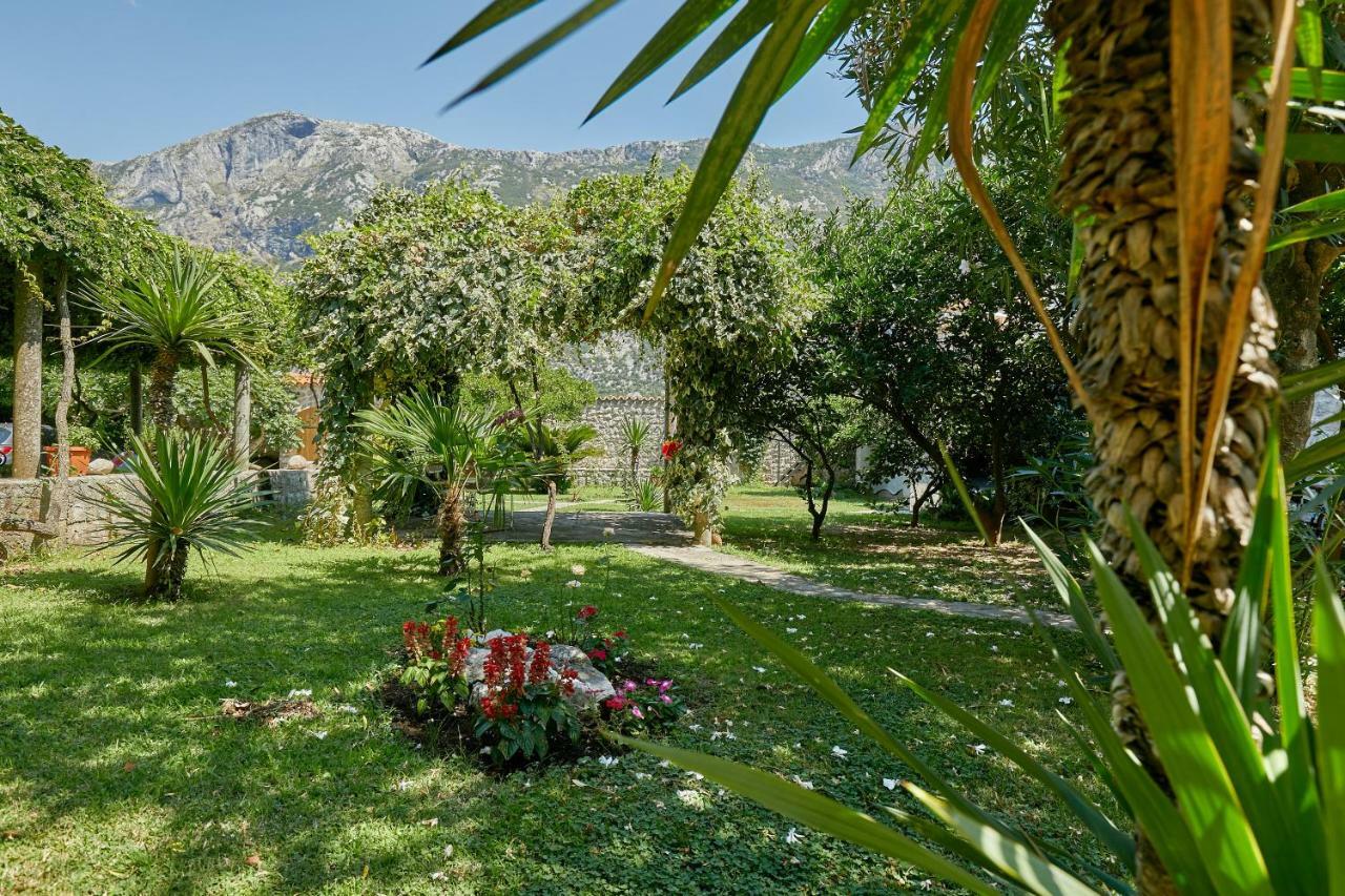 Mediterranean Holiday House & Apartments Kotor Zewnętrze zdjęcie