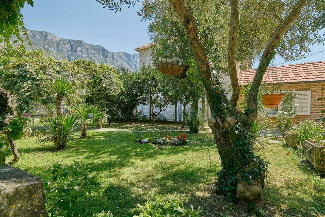 Mediterranean Holiday House & Apartments Kotor Zewnętrze zdjęcie